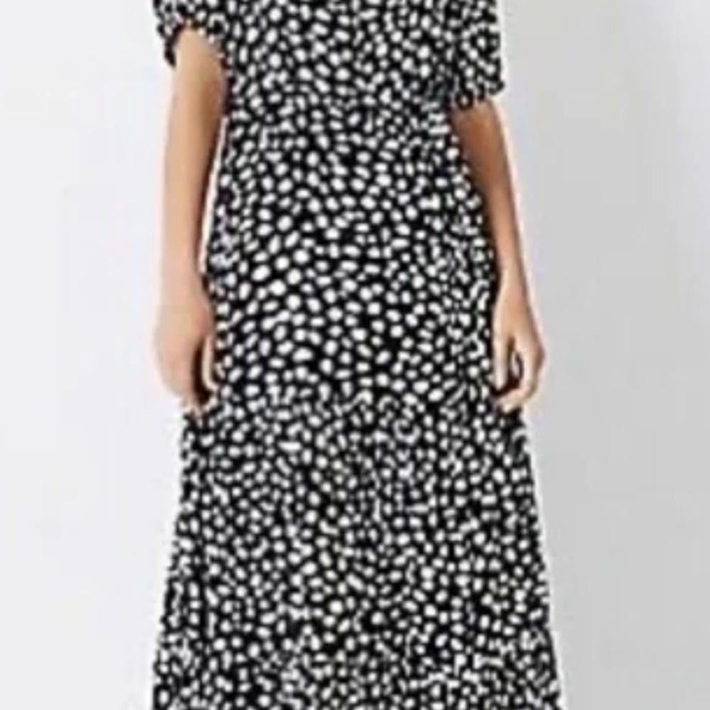 # 3/39 Ann Taylor Black and White Floral Maxi Dress